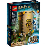 Конструктор LEGO Harry Potter у Гоґвортсі: урок травології 233 деталі (76384)